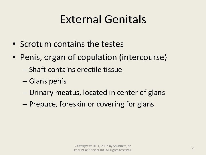 External Genitals • Scrotum contains the testes • Penis, organ of copulation (intercourse) –