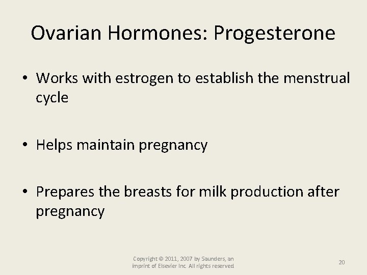 Ovarian Hormones: Progesterone • Works with estrogen to establish the menstrual cycle • Helps