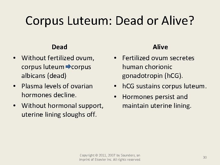Corpus Luteum: Dead or Alive? Dead Alive • Without fertilized ovum, corpus luteum corpus