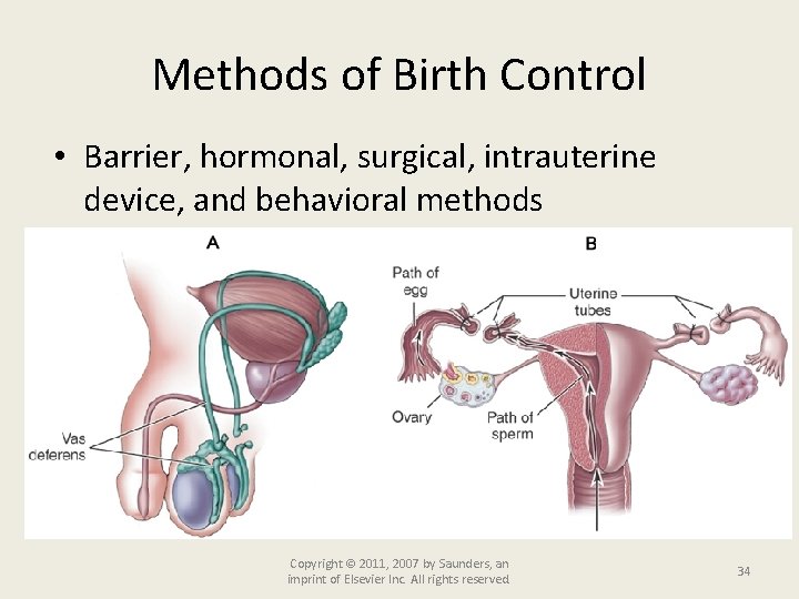 Methods of Birth Control • Barrier, hormonal, surgical, intrauterine device, and behavioral methods Copyright
