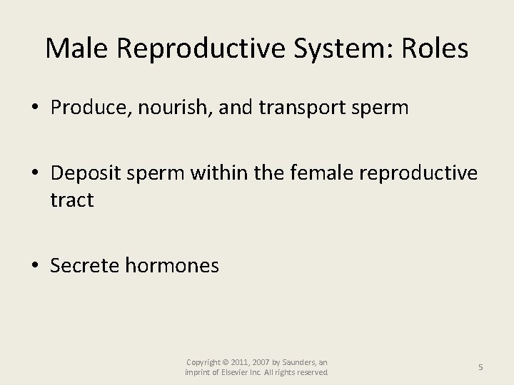 Male Reproductive System: Roles • Produce, nourish, and transport sperm • Deposit sperm within