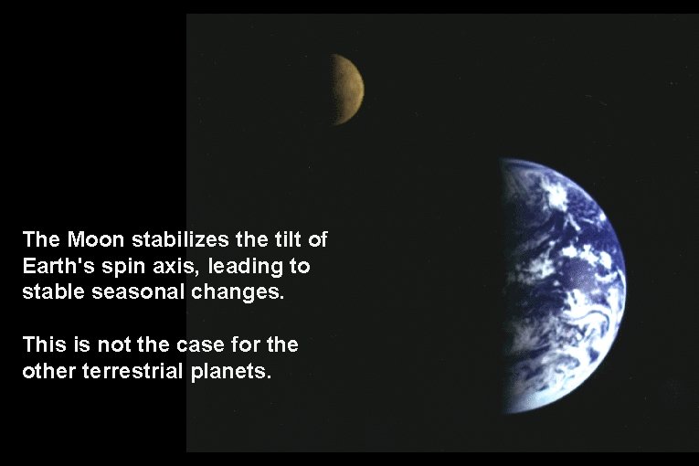 The Moon stabilizes the tilt of Earth's spin axis, leading to stable seasonal changes.