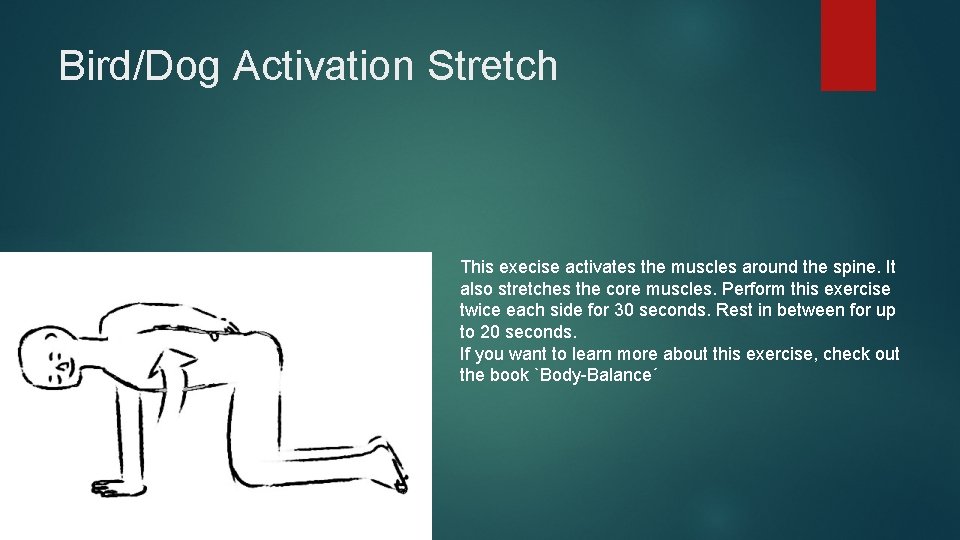 Bird/Dog Activation Stretch This execise activates the muscles around the spine. It also stretches