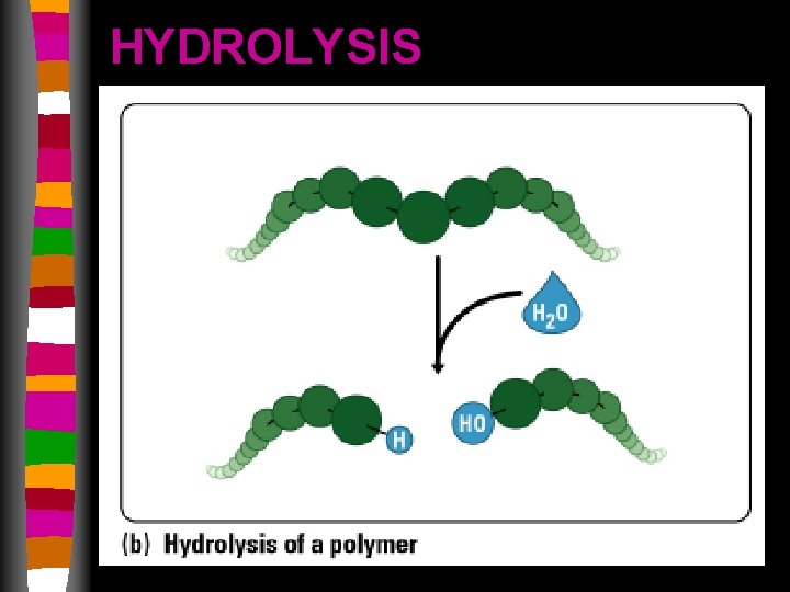 HYDROLYSIS 