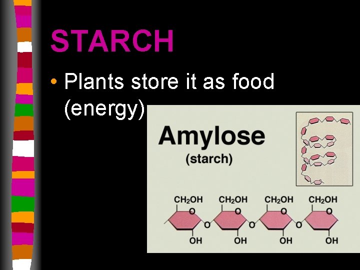 STARCH • Plants store it as food (energy) 