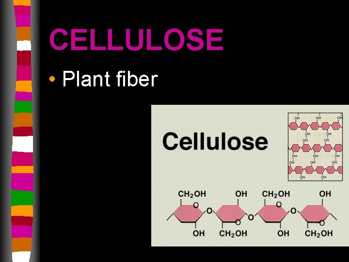 CELLULOSE • Plant fiber 