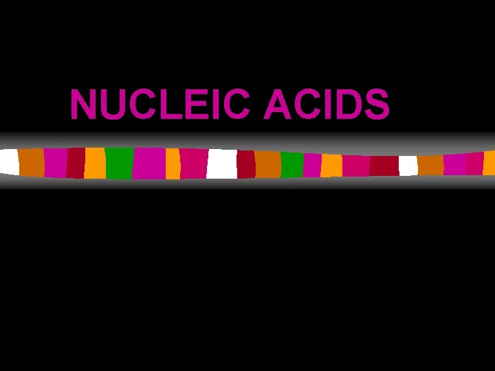 NUCLEIC ACIDS 