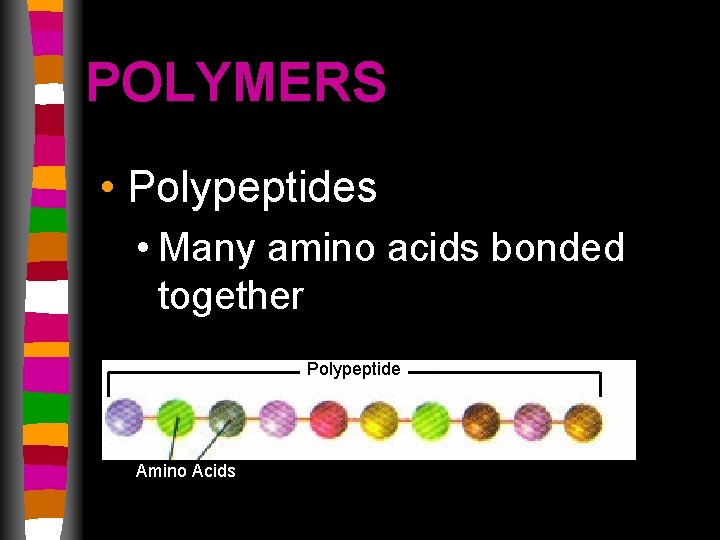 POLYMERS • Polypeptides • Many amino acids bonded together Polypeptide Amino Acids 