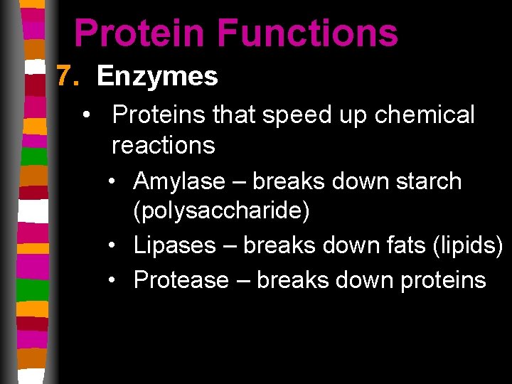 Protein Functions 7. Enzymes • Proteins that speed up chemical reactions • Amylase –