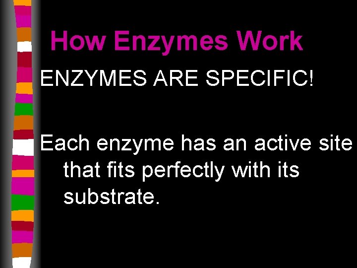 How Enzymes Work ENZYMES ARE SPECIFIC! Each enzyme has an active site that fits