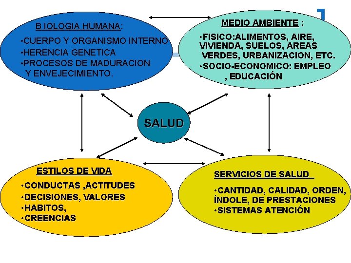 MEDIO AMBIENTE : B IOLOGIA HUMANA: • CUERPO Y ORGANISMO INTERNO • HERENCIA GENETICA