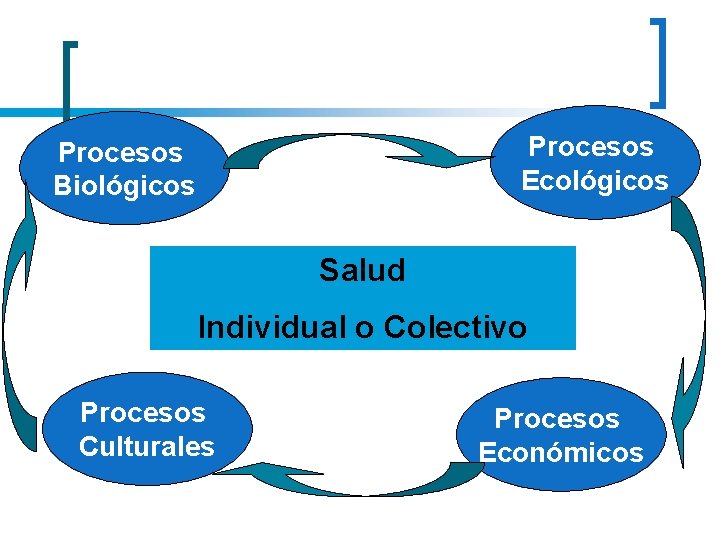 Procesos Ecológicos Procesos Biológicos Salud Individual o Colectivo Procesos Culturales Procesos Económicos 