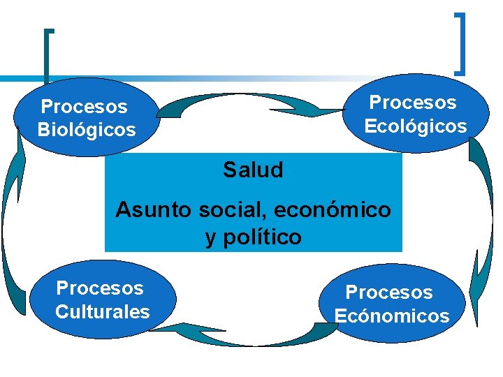 Procesos Ecológicos Procesos Biológicos Salud Asunto social, económico y político Procesos Culturales Procesos Ecónomicos
