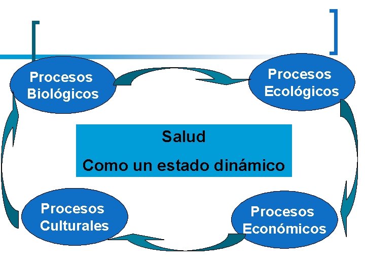 Procesos Ecológicos Procesos Biológicos Salud Como un estado dinámico Procesos Culturales Procesos Económicos 