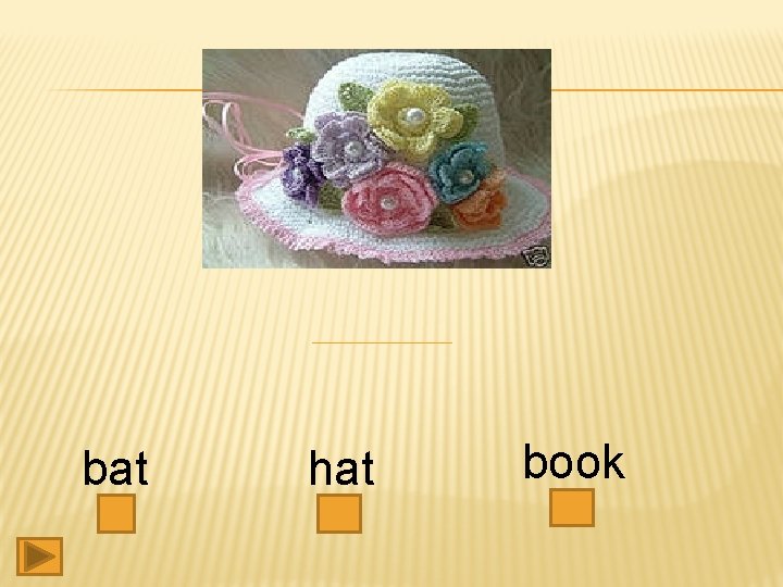 bat hat book 