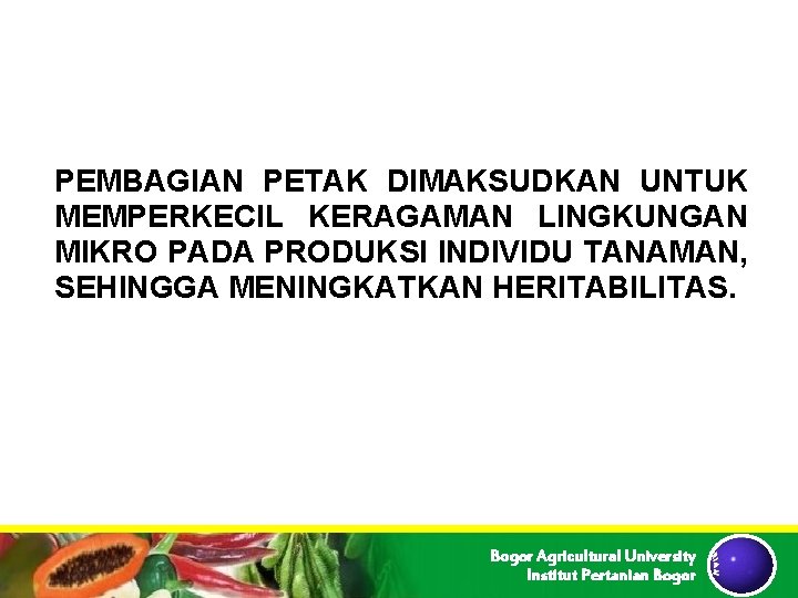 PEMBAGIAN PETAK DIMAKSUDKAN UNTUK MEMPERKECIL KERAGAMAN LINGKUNGAN MIKRO PADA PRODUKSI INDIVIDU TANAMAN, SEHINGGA MENINGKATKAN PEMBAGIAN PETAK DIMAKSUDKAN UNTUK MEMPERKECIL KERAGAMAN LINGKUNGAN MIKRO PADA PRODUKSI INDIVIDU TANAMAN, SEHINGGA MENINGKATKAN