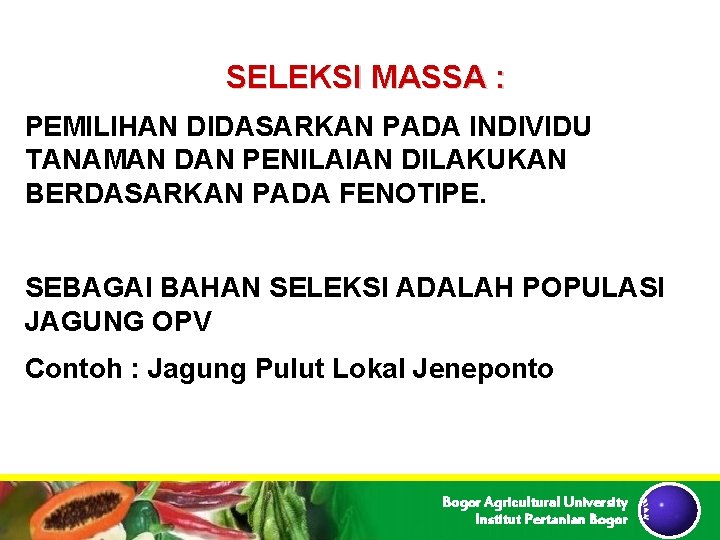 SELEKSI MASSA : PEMILIHAN DIDASARKAN PADA INDIVIDU TANAMAN DAN PENILAIAN DILAKUKAN BERDASARKAN PADA FENOTIPE. SELEKSI MASSA : PEMILIHAN DIDASARKAN PADA INDIVIDU TANAMAN DAN PENILAIAN DILAKUKAN BERDASARKAN PADA FENOTIPE.