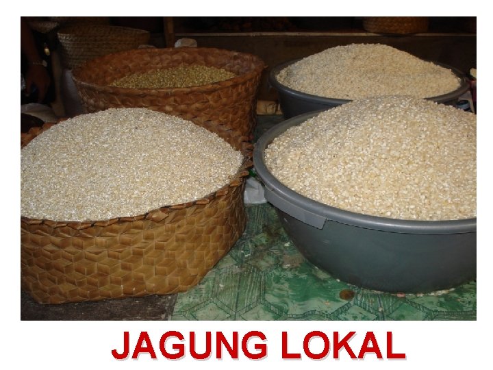 JAGUNG LOKAL JAGUNG LOKAL