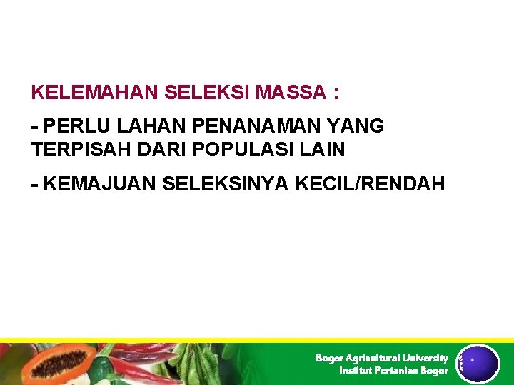 KELEMAHAN SELEKSI MASSA : - PERLU LAHAN PENANAMAN YANG TERPISAH DARI POPULASI LAIN - KELEMAHAN SELEKSI MASSA : - PERLU LAHAN PENANAMAN YANG TERPISAH DARI POPULASI LAIN -