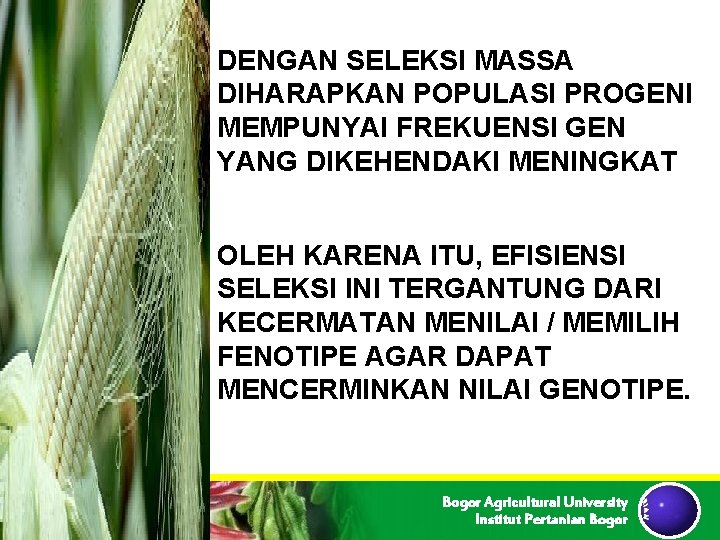 DENGAN SELEKSI MASSA DIHARAPKAN POPULASI PROGENI MEMPUNYAI FREKUENSI GEN YANG DIKEHENDAKI MENINGKAT OLEH KARENA DENGAN SELEKSI MASSA DIHARAPKAN POPULASI PROGENI MEMPUNYAI FREKUENSI GEN YANG DIKEHENDAKI MENINGKAT OLEH KARENA