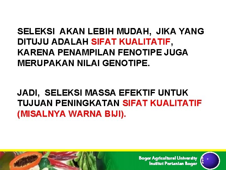 SELEKSI AKAN LEBIH MUDAH, JIKA YANG DITUJU ADALAH SIFAT KUALITATIF, KARENA PENAMPILAN FENOTIPE JUGA SELEKSI AKAN LEBIH MUDAH, JIKA YANG DITUJU ADALAH SIFAT KUALITATIF, KARENA PENAMPILAN FENOTIPE JUGA