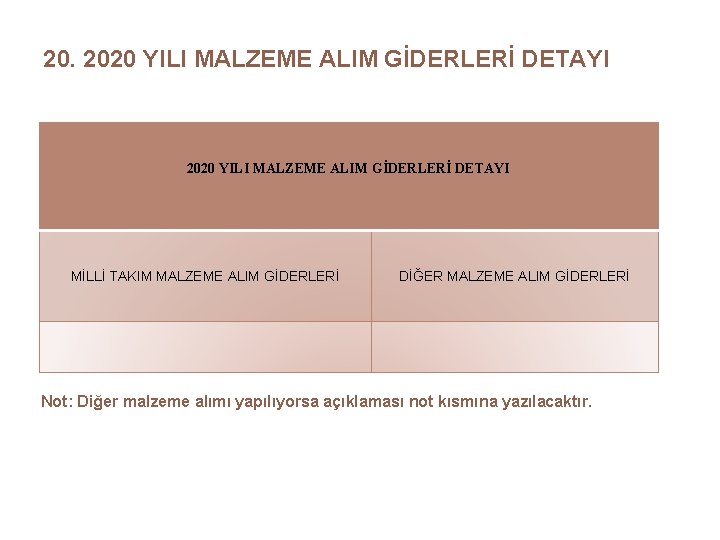 20. 2020 YILI MALZEME ALIM GİDERLERİ DETAYI MİLLİ TAKIM MALZEME ALIM GİDERLERİ DİĞER MALZEME