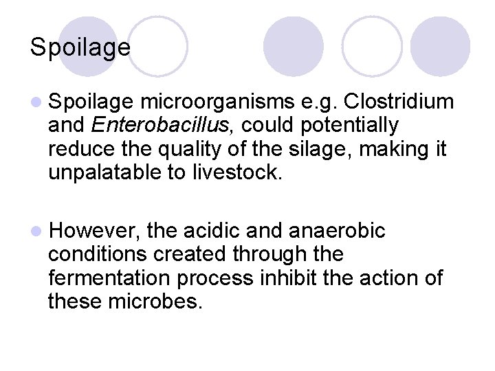 Spoilage l Spoilage microorganisms e. g. Clostridium and Enterobacillus, could potentially reduce the quality