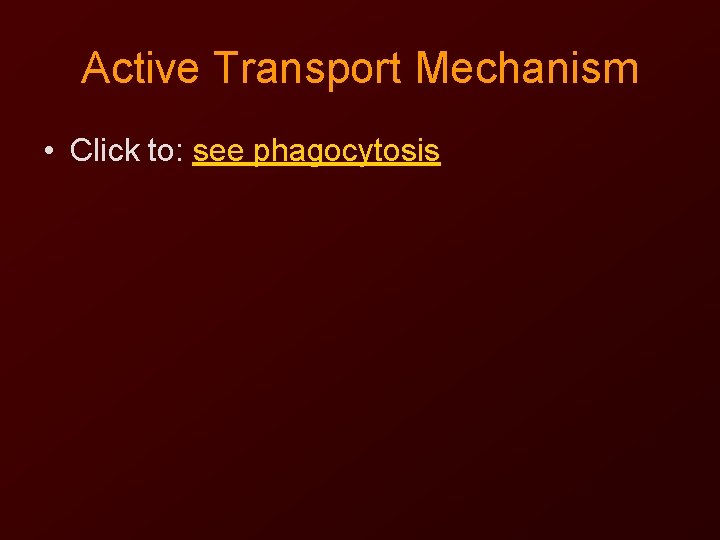 Active Transport Mechanism • Click to: see phagocytosis 