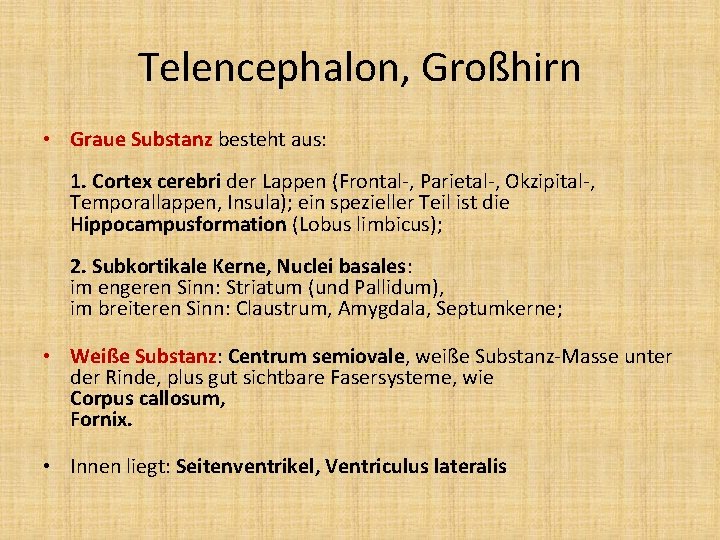 Telencephalon, Großhirn • Graue Substanz besteht aus: 1. Cortex cerebri der Lappen (Frontal-, Parietal-,