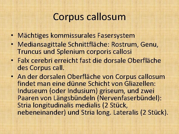 Corpus callosum • Mächtiges kommissurales Fasersystem • Mediansagittale Schnittfläche: Rostrum, Genu, Truncus und Splenium