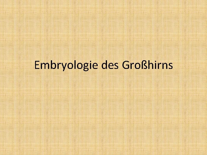 Embryologie des Großhirns 