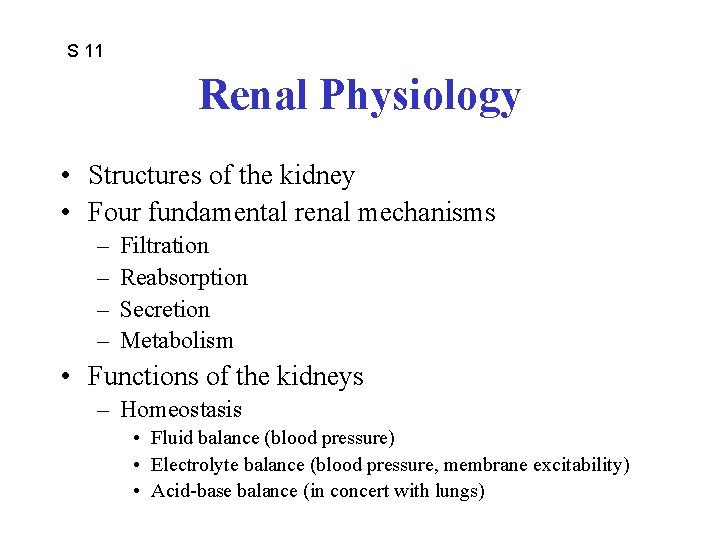 S 11 Renal Physiology • Structures of the kidney • Four fundamental renal mechanisms