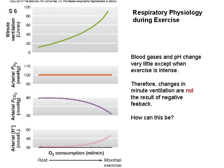 S 6 Respiratory Physiology during Exercise Blood gases and p. H change very little