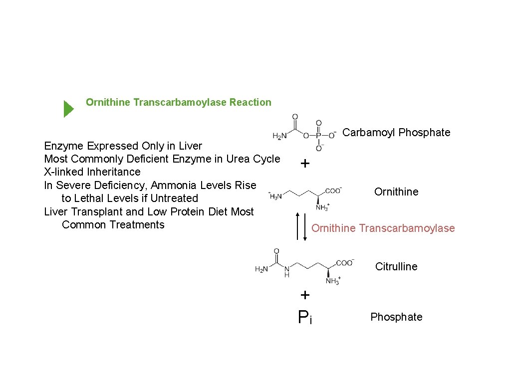 Ornithine Transcarbamoylase Reaction Carbamoyl Phosphate Enzyme Expressed Only in Liver Most Commonly Deficient Enzyme