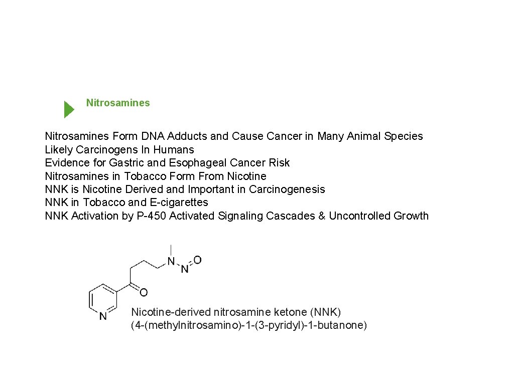 Nitrosamines Form DNA Adducts and Cause Cancer in Many Animal Species Likely Carcinogens In