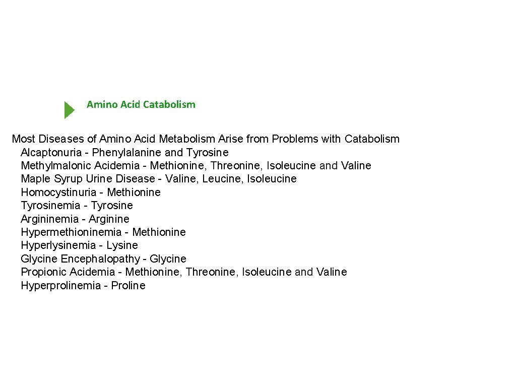 Amino Acid Catabolism Most Diseases of Amino Acid Metabolism Arise from Problems with Catabolism