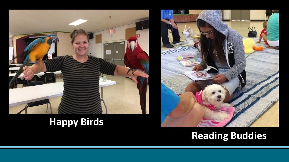 Happy Birds Reading Buddies 