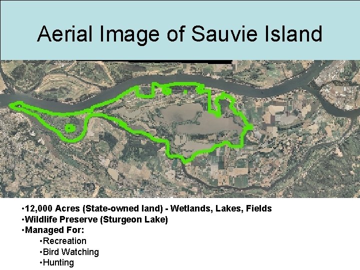 Aerial Image of Sauvie Island • 12, 000 Acres (State-owned land) - Wetlands, Lakes,