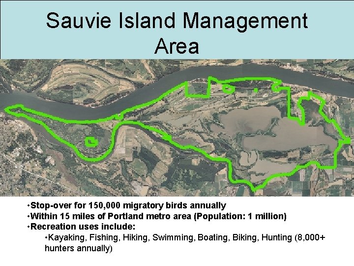 Sauvie Island Management Area • Stop-over for 150, 000 migratory birds annually • Within