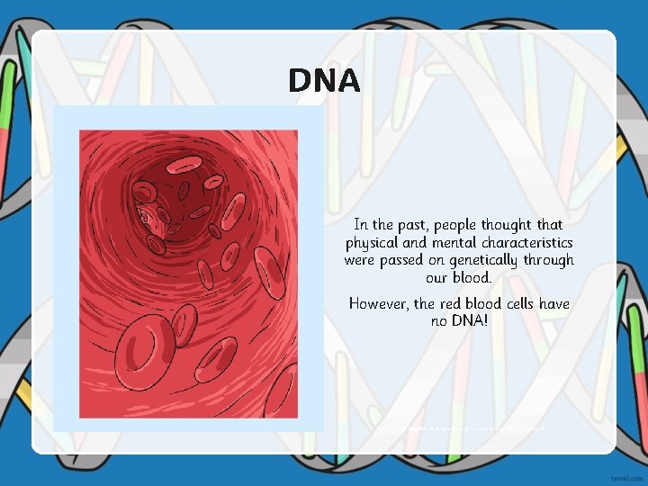 DNA In the past, people thought that physical and mental characteristics were passed on