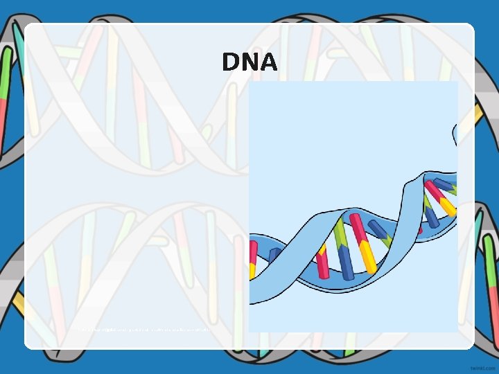 DNA Photo courtesy of (@flickr. com) - granted under creative commons licence – attribution