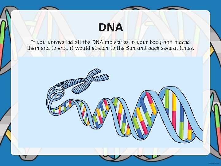 DNA If you unravelled all the DNA molecules in your body and placed them