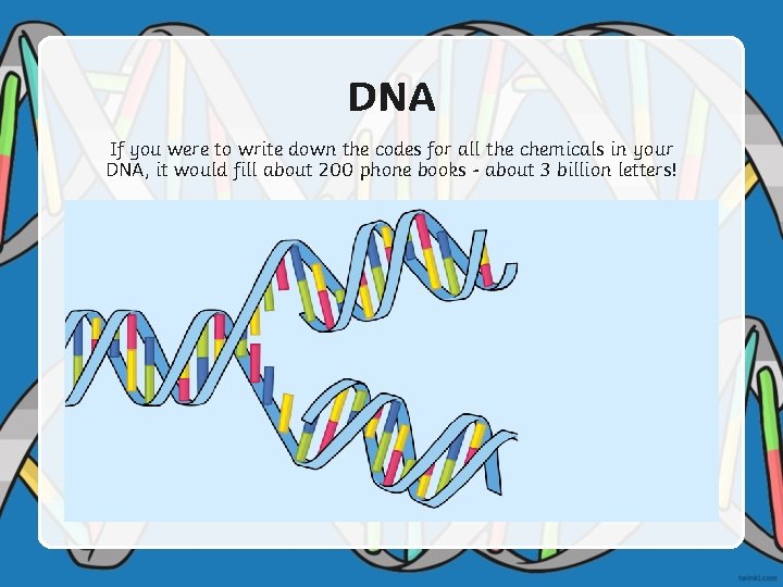 DNA If you were to write down the codes for all the chemicals in