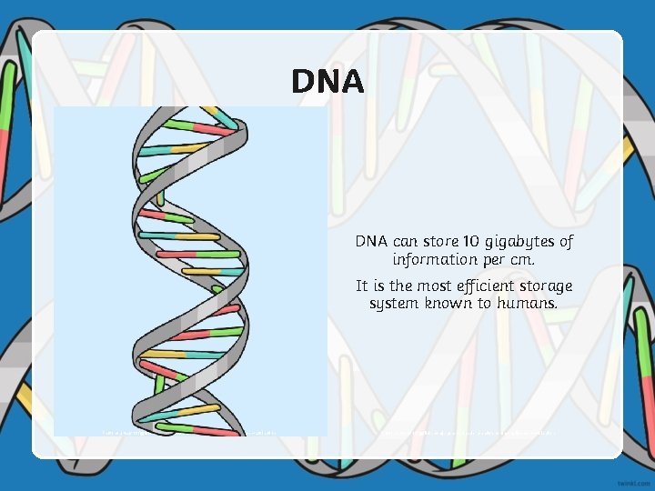 DNA can store 10 gigabytes of information per cm. It is the most efficient