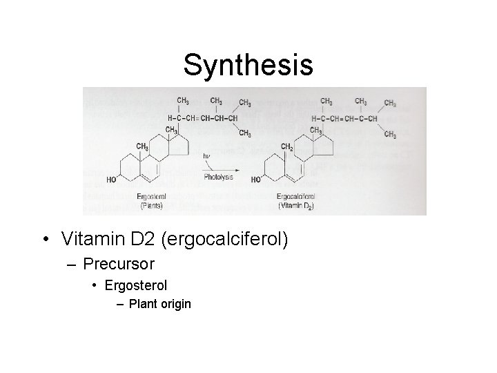 Synthesis • Vitamin D 2 (ergocalciferol) – Precursor • Ergosterol – Plant origin 