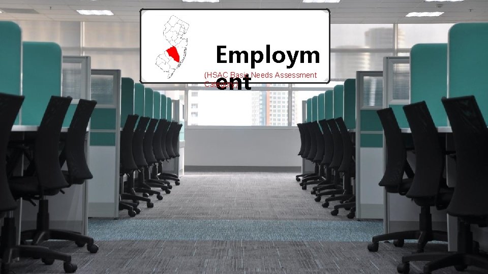 Employm ent (HSAC Basic Needs Assessment Category) Passaic County New Jersey Health Care and