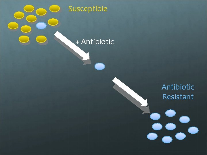 Susceptible + Antibiotic Resistant 
