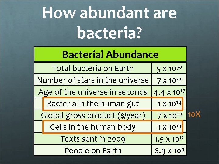 How abundant are bacteria? Bacterial Abundance Total bacteria on Earth Number of stars in