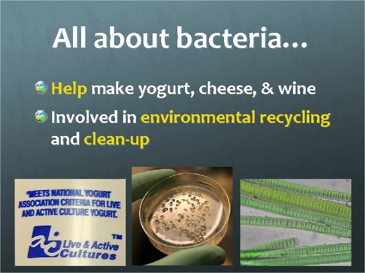 All about bacteria… Help make yogurt, cheese, & wine Involved in environmental recycling and