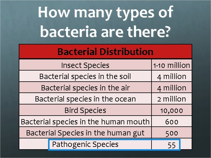 How many types of bacteria are there? Bacterial Distribution Insect Species Bacterial species in